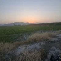 زمین مسکونی به فروش میرسد