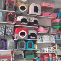 کلبه وحش چکاوک