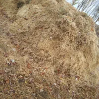 کاه گندم و مخلوط علف و یونجه|لوازم جانبی حیوانات|سلماس, |دیوار