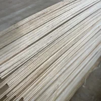 نیازمند کارگر ساده