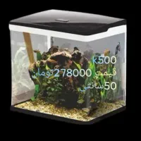 انواع آکواریوم شرکتی دلسا به قیمت کارخانه|ماهی|مشهد, بهاران|دیوار