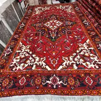 تک زرد حاشیه ۶