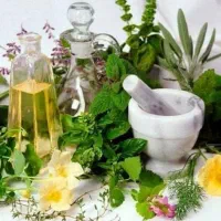 نتورک مارکتینگ