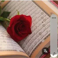 مداح اهلبیت و مراسمات عزاداری