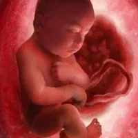 به تعداد تخمک ورحم جایگ زین نیازمندیم