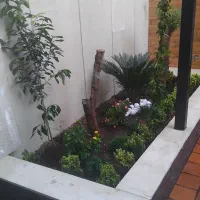 خدمات باغبانی گل گیاه آپارتمانی  گل کاری سمپاشی|خدمات باغبانی و درختکاری|تهران, تجریش|دیوار