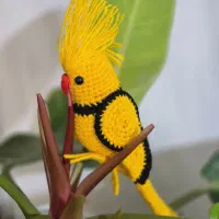 عروس هلندی بافتنی