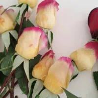 گل رز|گل مصنوعی|ملارد, |دیوار