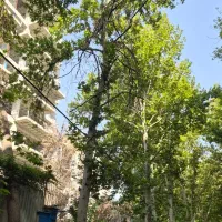 مشارکت در ساخت میرداماد ۴۰۰ متر ۱۵ متری