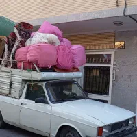 باربری مارالانی