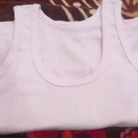 100عدد رکابی