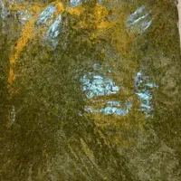 سبزی قرمه بسه ای شصت هزار گذاشتم سرخ شده 200|خوردنی و آشامیدنی|پرند, فاز ۵|دیوار
