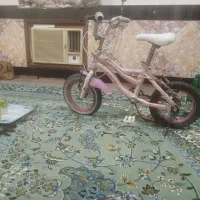 درحد نوع دوچرخه ۱۲