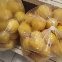 نارنج تازه و آبدار