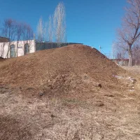 کودحیوانی گوسفندی