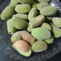 بادام تازه امسالی|خوردنی و آشامیدنی|اصفهان, رزمندگان|دیوار