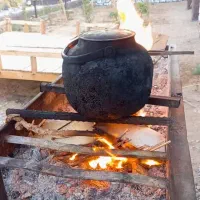 خانه باغ اجاره ای|اجارهٔ کوتاهمدت ویلا و باغ|آران و بیدگل, |دیوار