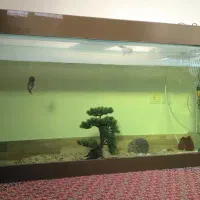 آکواریوم بزرگ