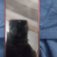 آیفون ۱۱