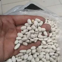 لوبیا سفید|عمده‌فروشی|داران, |دیوار