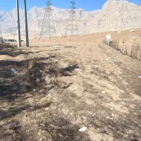 زمین بر جاده هرسین|فروش زمین و ملک کلنگی|بیستون, |دیوار