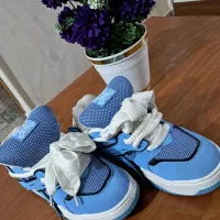 وسایل شخصی کیف و کفش|کیف، کفش، کمربند|الوند, |دیوار