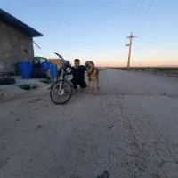 واگذاری سگ پژدر