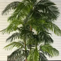 انواع درختچه و گل تزیینی و آویز|گل مصنوعی|ملایر, |دیوار