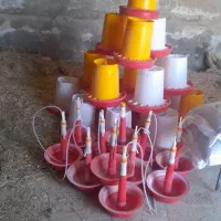 لوازم پروش بوقلمون قیمت مناسب