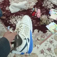 کفش سالنی|کیف، کفش، کمربند|تربت جام, فاز ۱ فرهنگیان|دیوار