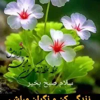 آموزش رانندگی|خدمات آموزشی|کوهدشت, |دیوار