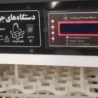 دستگاه جوجه کشی 42 تایی برند هدایت زیر قیمت|لوازم جانبی حیوانات|شیراز, شهرک گلستان|دیوار