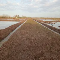 اجاره بیل مکانیکی زنجیری و بلدوزر|خدمات حمل و نقل|رشت, گلسار|دیوار