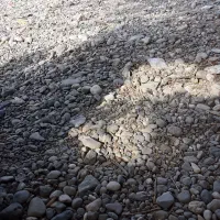 یک نیم دونیم شکسته