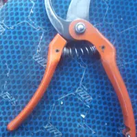 قیچی باغبانی|ابزارآلات|میاندوآب, |دیوار