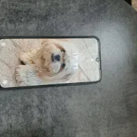 گوشی a15 درحد خوشک|موبایل|مشهد, علی آباد|دیوار