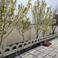 ویلای نوساز