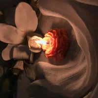 شمع|صنایع دستی و سایر لوازم تزئینی|مشهد, فتح المبین|دیوار