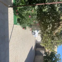 اجاره خانه ویلایی ۳۰۰ متری ۲ خوابه در شهرکهنه|اجارهٔ خانه و ویلا|نیشابور, شهرکهنه|دیوار