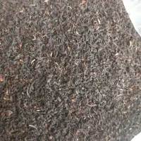 چای سعدالدین۴۴۴ برنج عنبربو وفجرباضمانت