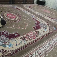 دوتا دوازده متری و ی راهرویی|فرش|رامهرمز, |دیوار