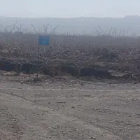 به دونفر کارگر جهت کار درشرکت قسمت باغات نیازمندم