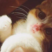 دوربین نیکون d5300|دوربین عکاسی و فیلم‌برداری|زابل, |دیوار