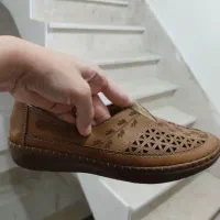 کفش طبی|کیف، کفش، کمربند|سنقر, |دیوار