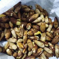 حیوانات|حیوانات مزرعه|دهدشت, |دیوار