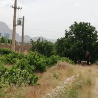فروش زمین باغی ۵۰۰ متری در دوکوهک