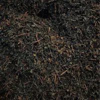 چای بهاره اعلا صد درصد طبیعی|خوردنی و آشامیدنی|چابکسر, |دیوار