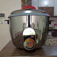 پلوپز برقی