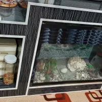 میزتلوزیون