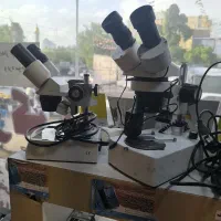 لوپ|پزشکی|الشتر, |دیوار
